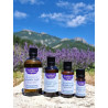 Huile Essentielle de Lavande : Soin Apaisant Peau Sensible